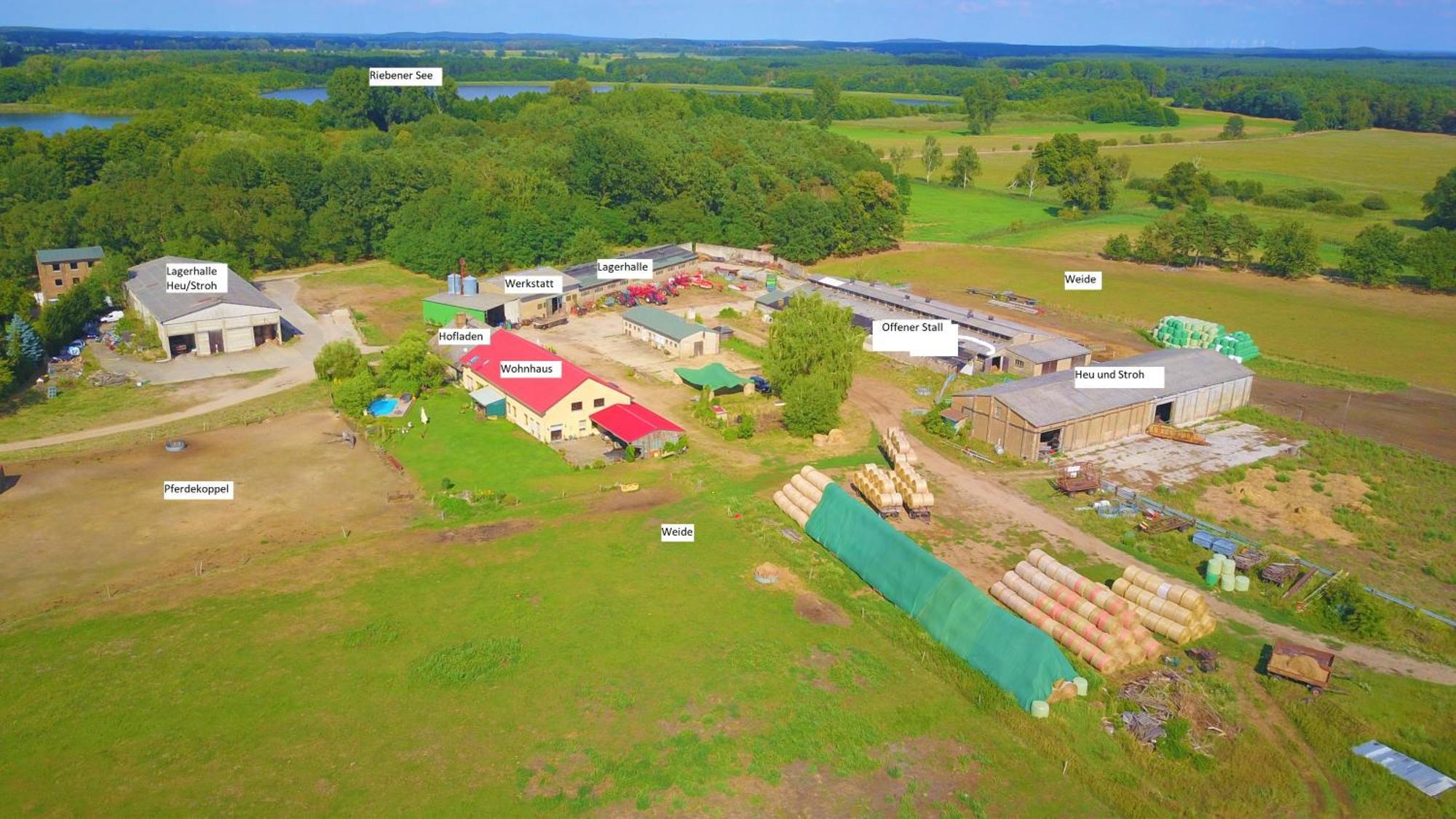 Apartament Weidelandfarm Am Riebener See Beelitz Zewnętrze zdjęcie